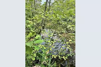 00 Vl Poplar Avenue, Bitely, MI 49309 - Photo 8