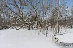 14151 Shaner Ave NE, Cedar Springs, MI 49319 - Photo 42