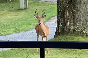 1310 N Washington Ave, Ludington, MI 49431 - Photo 32