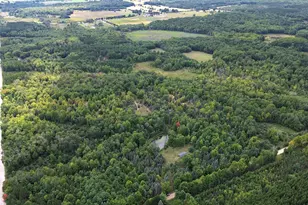 11845 E 24th St, Reed City, MI 49677 - Photo 1