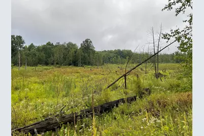 11845 E 24th Street, Reed City, MI 49677 - Photo 50