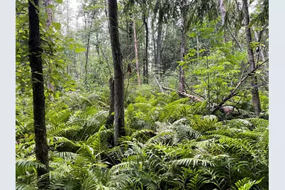 11845 E 24th Street, Reed City, MI 49677 - Photo 54