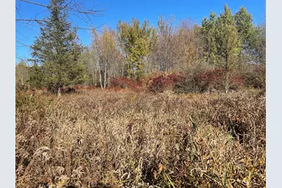 104th Avenue, Grand Junction, MI 49056 - Photo 26