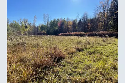 104th Avenue, Grand Junction, MI 49056 - Photo 34