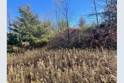 104th Avenue, Grand Junction, MI 49056 - Photo 16