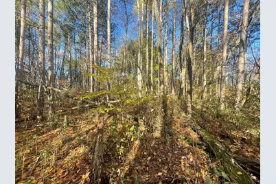 104th Avenue, Grand Junction, MI 49056 - Photo 58