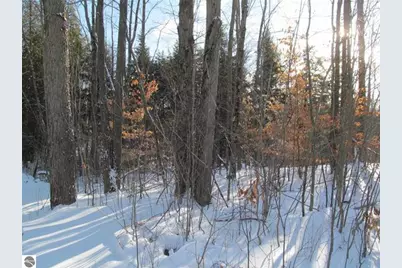 17166 50th Avenue, Marion, MI 49665 - Photo 22