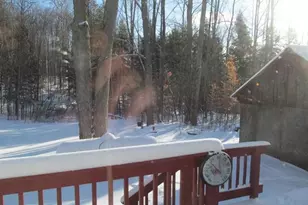 17166 50th Ave, Marion, MI 49665 - Photo 14