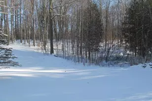 17166 50th Ave, Marion, MI 49665 - Photo 20