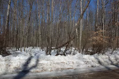 8158 Highland Trail, Canadian Lakes, MI 49346 - Photo 2