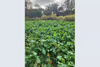 2500 W Quarter Line Road, Coleman, MI 48618 - Photo 50