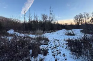 2500 W Quarter Line Rd, Coleman, MI 48618 - Photo 168