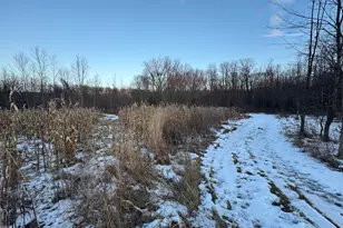 2500 W Quarter Line Rd, Coleman, MI 48618 - Photo 158