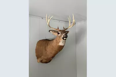 2500 W Quarter Line Road, Coleman, MI 48618 - Photo 34