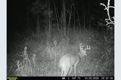 2500 W Quarter Line Road, Coleman, MI 48618 - Photo 184