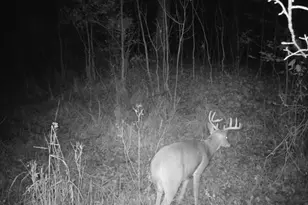 2500 W Quarter Line Rd, Coleman, MI 48618 - Photo 184