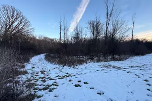 2500 W Quarter Line Rd, Coleman, MI 48618 - Photo 166