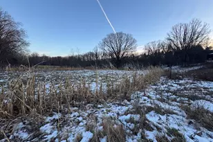 2500 W Quarter Line Rd, Coleman, MI 48618 - Photo 144