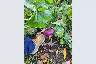 2500 W Quarter Line Road, Coleman, MI 48618 - Photo 56