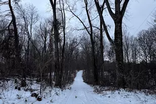 2500 W Quarter Line Rd, Coleman, MI 48618 - Photo 178