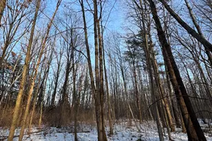 2500 W Quarter Line Rd, Coleman, MI 48618 - Photo 120