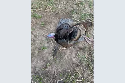 2500 W Quarter Line Road, Coleman, MI 48618 - Photo 190