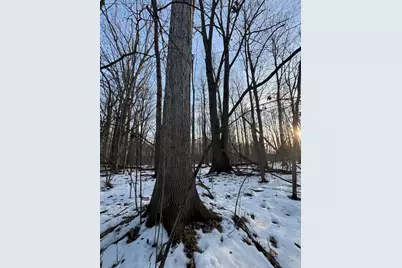 2500 W Quarter Line Road, Coleman, MI 48618 - Photo 122