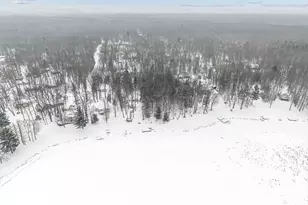 14142 S Star Lake Dr, Baldwin, MI 49304 - Photo 32