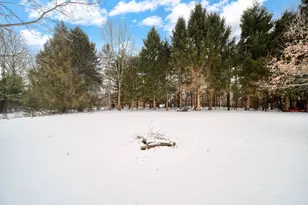 6117 Kennedy Rd, Munith, MI 49259 - Photo 40