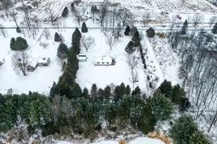6117 Kennedy Rd, Munith, MI 49259 - Photo 56