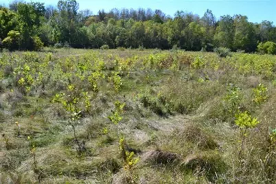 5312 18 Mile Road NE, Cedar Springs, MI 49319 - Photo 2