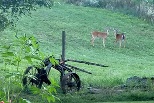 4885 Gavin Lake Rd NE, Ada, MI 49301 - Photo 32