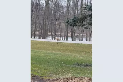 4885 Gavin Lake Road NE, Ada, MI 49301 - Photo 30