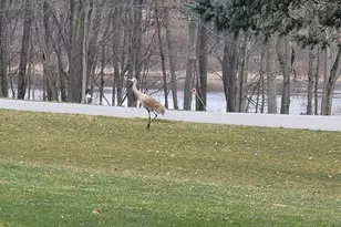 4885 Gavin Lake Rd NE, Ada, MI 49301 - Photo 30