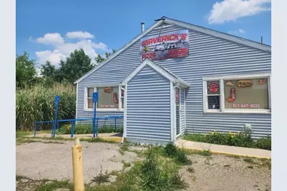 117 N Steer Street, Addison, MI 49220 - Photo 1