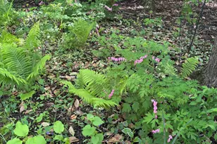 10816 E X Y Ave, Vicksburg, MI 49097 - Photo 50