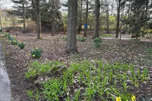 10816 E X Y Ave, Vicksburg, MI 49097 - Photo 48