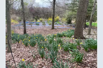 10816 E Xy Avenue, Vicksburg, MI 49097 - Photo 46