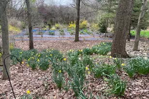 10816 E X Y Ave, Vicksburg, MI 49097 - Photo 46