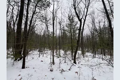 12871 Michigan 33, Atlanta, MI 49709 - Photo 26