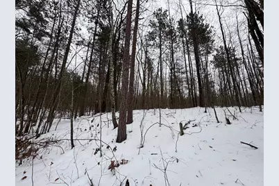 12871 Michigan 33, Atlanta, MI 49709 - Photo 22