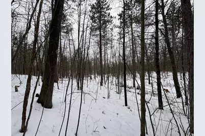 12871 Michigan 33, Atlanta, MI 49709 - Photo 24