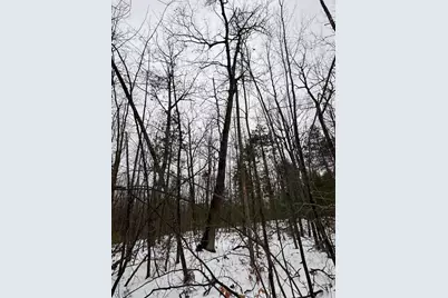 12871 Michigan 33, Atlanta, MI 49709 - Photo 42