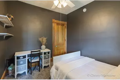 917 S Bridge Street, Belding, MI 48809 - Photo 42