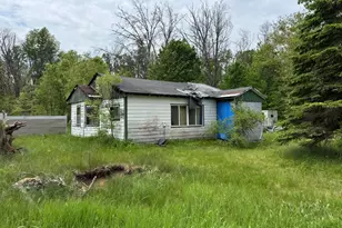 399 W Baldwin Rd, Baldwin, MI 49304 - Photo 2