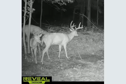 12251 Flowerfield Road, Marcellus, MI 49067 - Photo 24