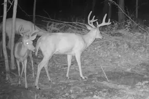 12251 Flowerfield Rd, Marcellus, MI 49067 - Photo 24