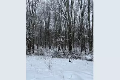 773 39th Street, Allegan, MI 49010 - Photo 6