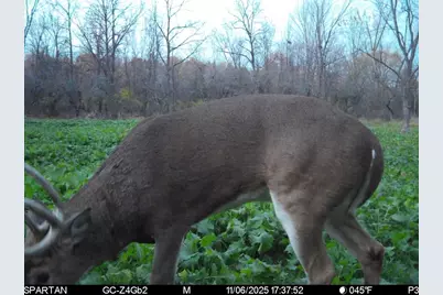 W Us-12 Highway, Manchester, MI 48158 - Photo 8