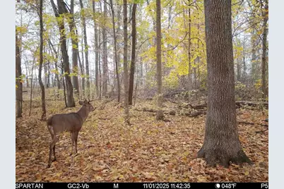 W Us-12 Highway, Manchester, MI 48158 - Photo 10